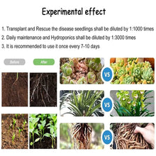 Load image into Gallery viewer, PLANT GROWTH ENHANCER SUPPLEMENT (BUY 1 GET 1 FREE)
