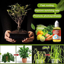 Load image into Gallery viewer, PLANT GROWTH ENHANCER SUPPLEMENT (BUY 1 GET 1 FREE)
